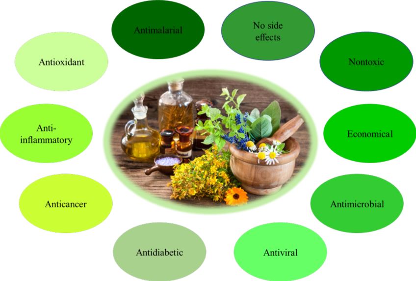 Bioactive Compounds of Endemic Medicinal Plants